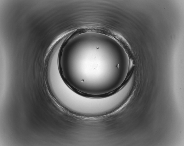 X0000087521114200704271135