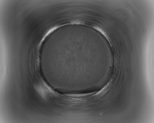 X0000087521115200704271135