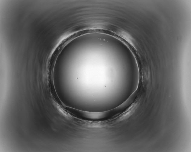X0000087521116200704271135