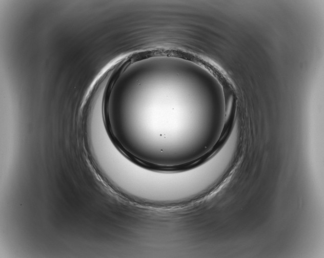 X0000087521118200704271135
