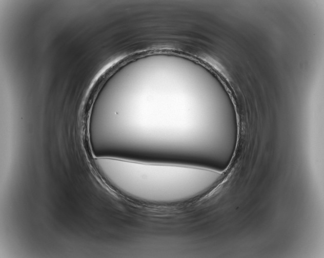 X0000087521119200704271135
