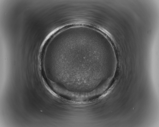 X0000087521120200704271135