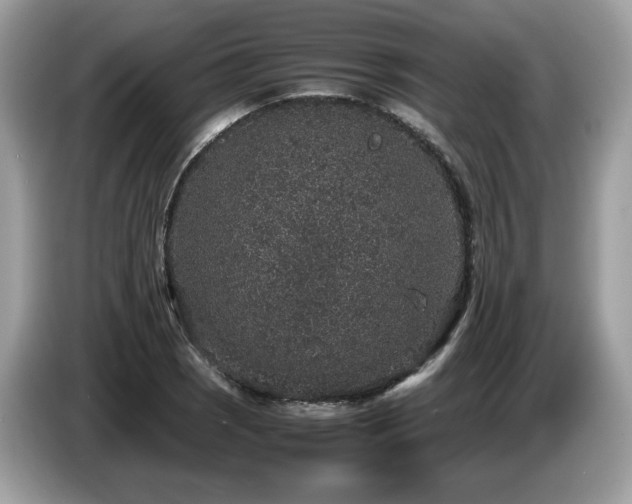 X0000087521121200704271135