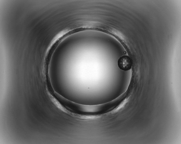 X0000087521122200704271135