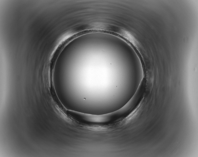 X0000087521123200704271135