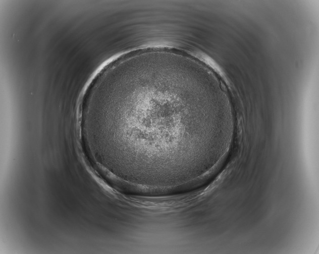 X0000087521124200704271135