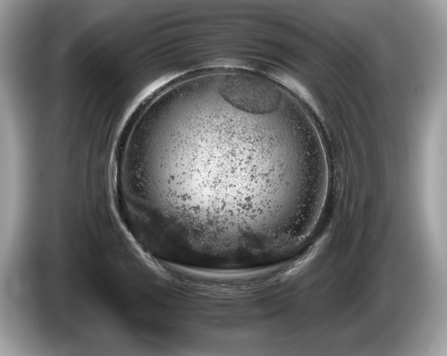 X0000087521125200704271135