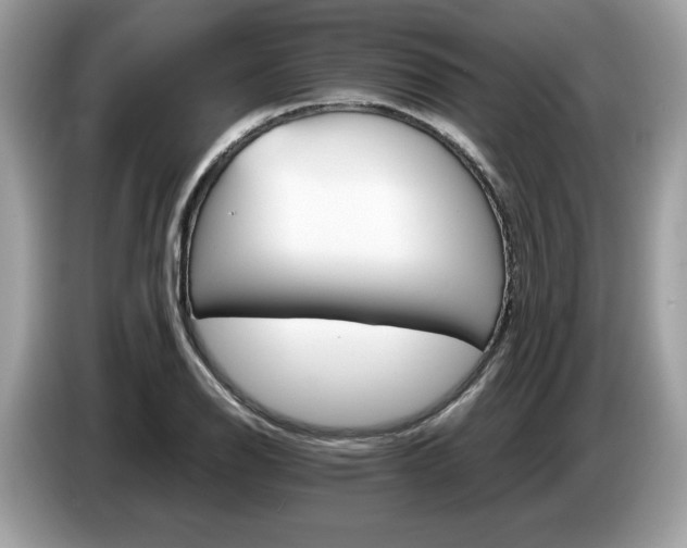X0000087521126200704271135