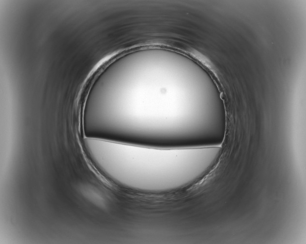 X0000087521127200704271135