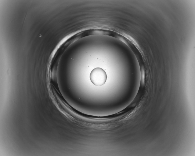 X0000087521128200704271135