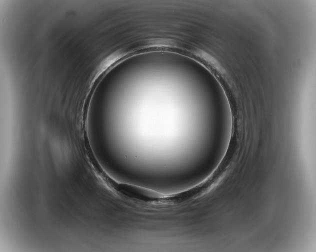 X0000087521129200704271135