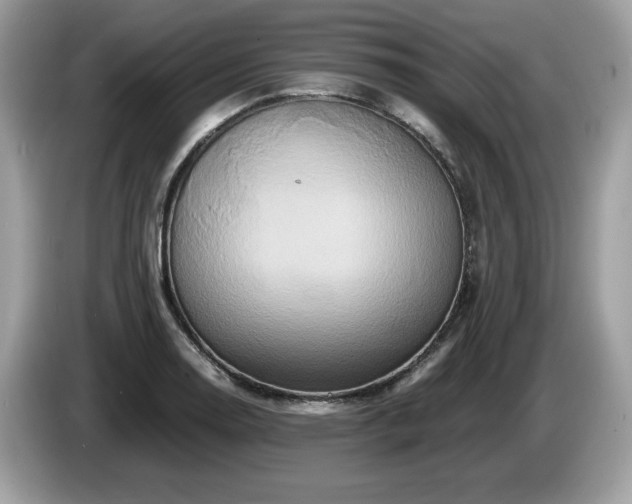 X0000087521130200704271135