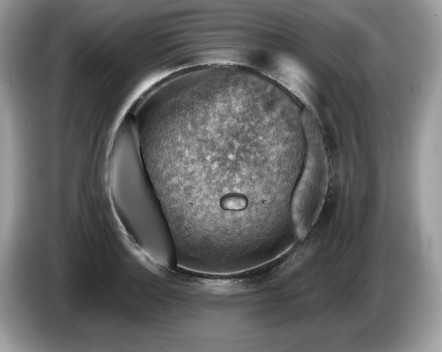 X0000087521132200704271136