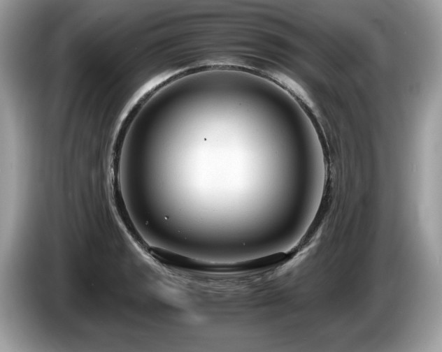 X0000087521133200704271136