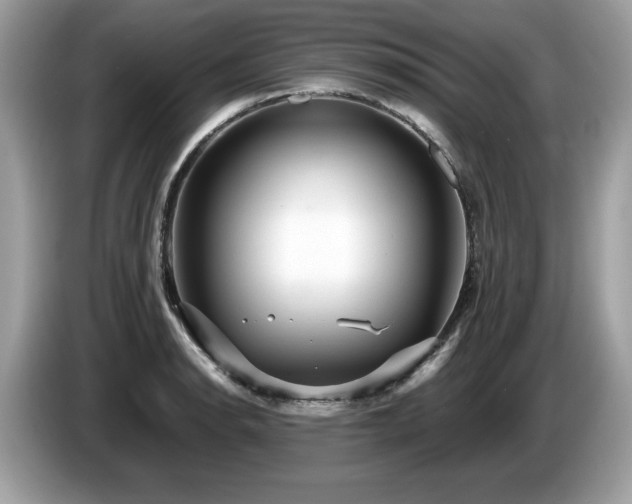 X0000087521134200704271136