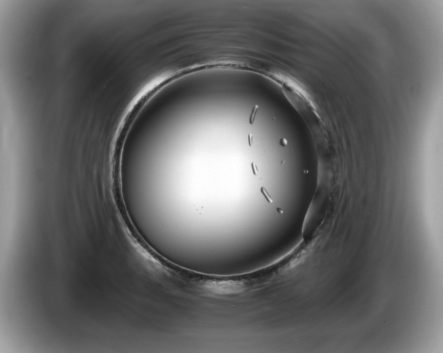 X0000087521135200704271136
