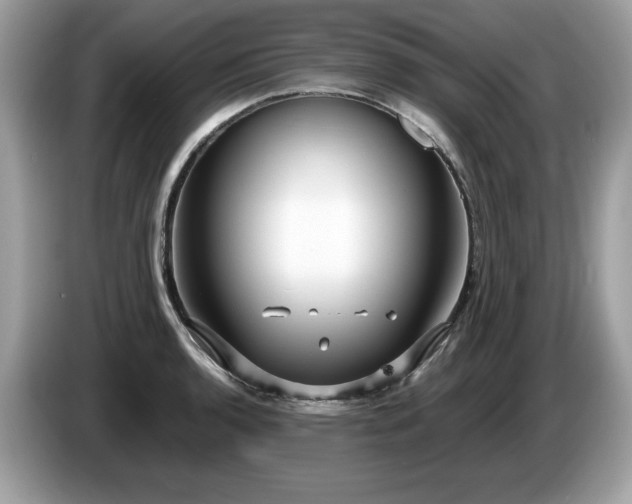 X0000087521136200704271136