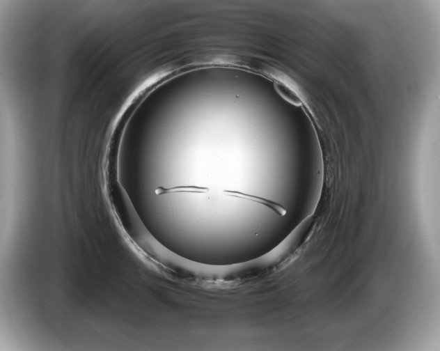 X0000087521139200704271136