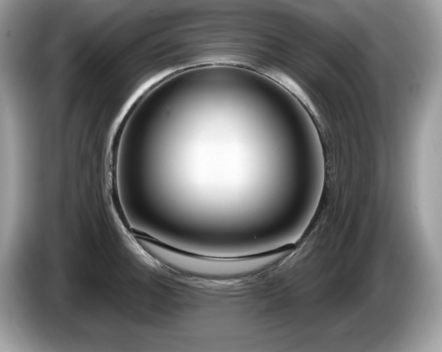 X0000087521140200704271136