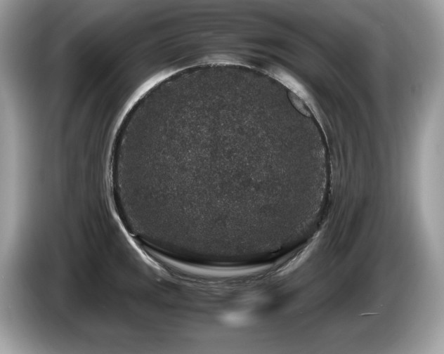 X0000087521141200704271136