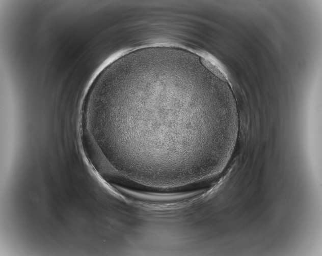 X0000087521142200704271136