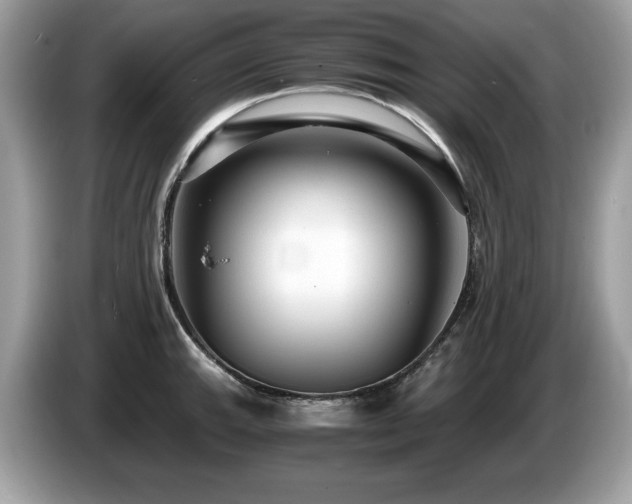 X0000087521143200704271136
