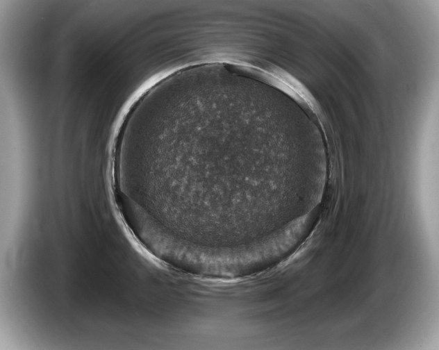 X0000087521144200704271136
