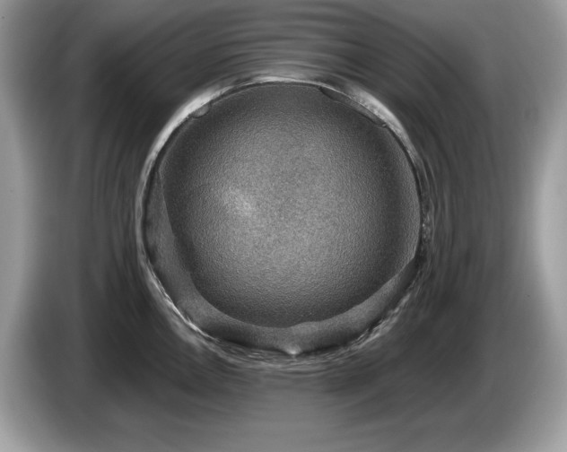 X0000087521146200704271136