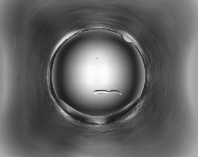 X0000087521149200704271136
