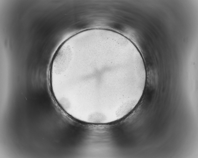 X0000087521150200704271136