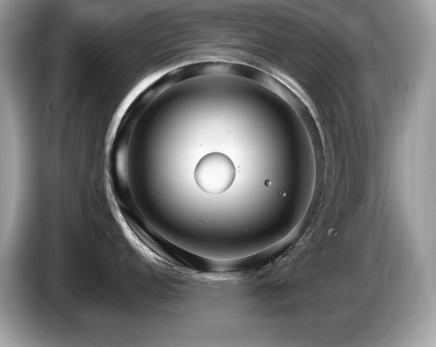 X0000087521152200704271136