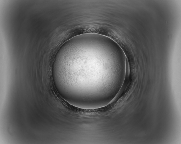 X0000087521153200704271135