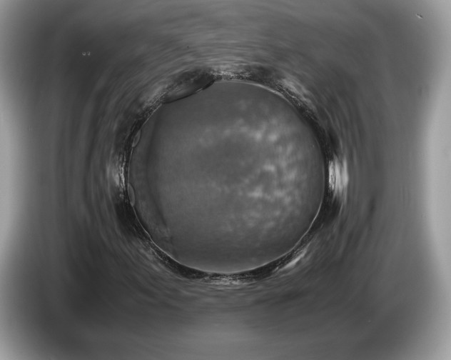 X0000087521155200704271135