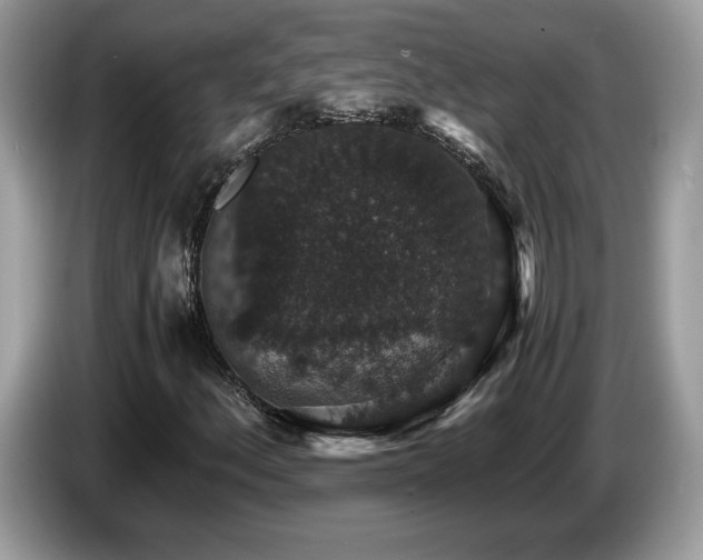 X0000087521156200704271135