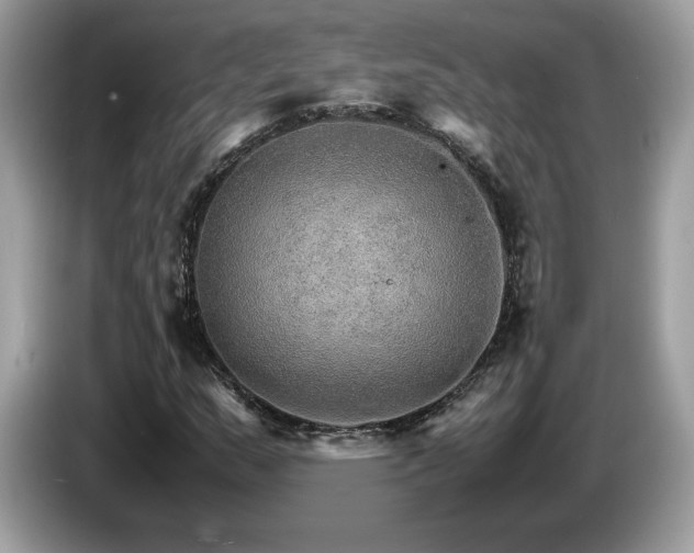 X0000087521159200704271135