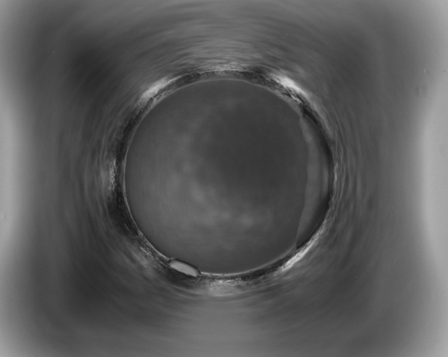 X0000087521161200704271135