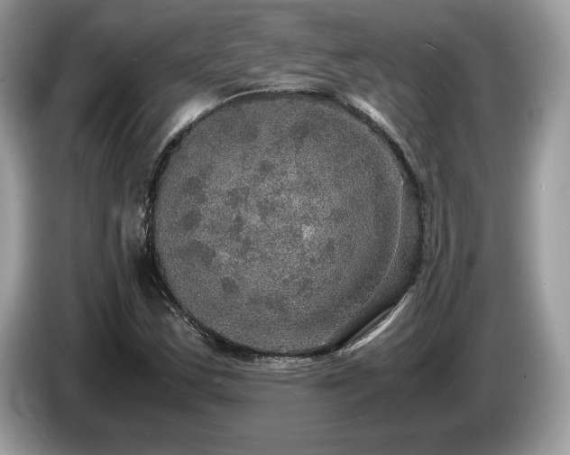 X0000087521163200704271135