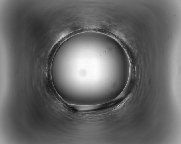 X0000087521165200704271135