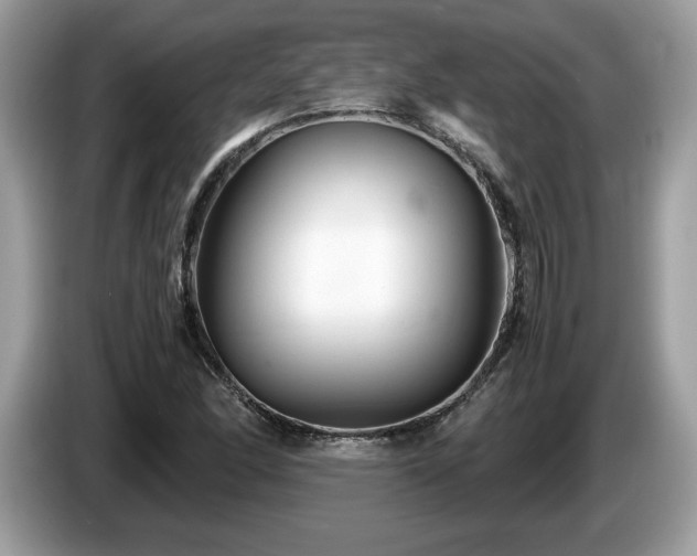 X0000087521166200704271135