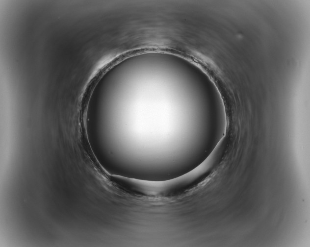 X0000087521168200704271135
