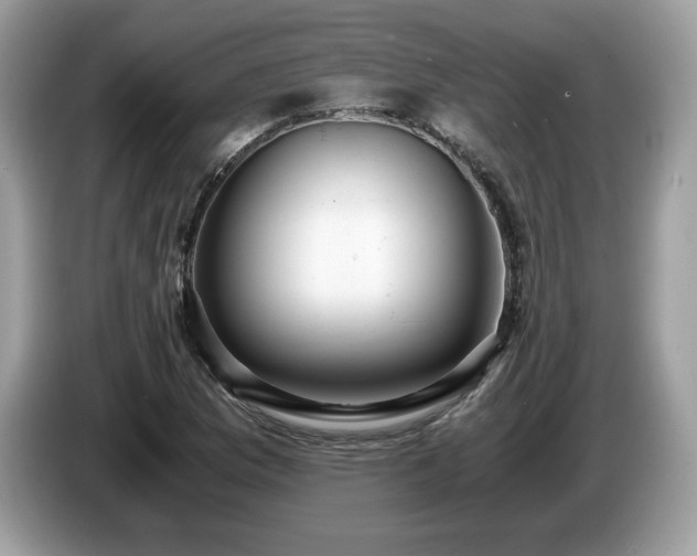 X0000087521169200704271135