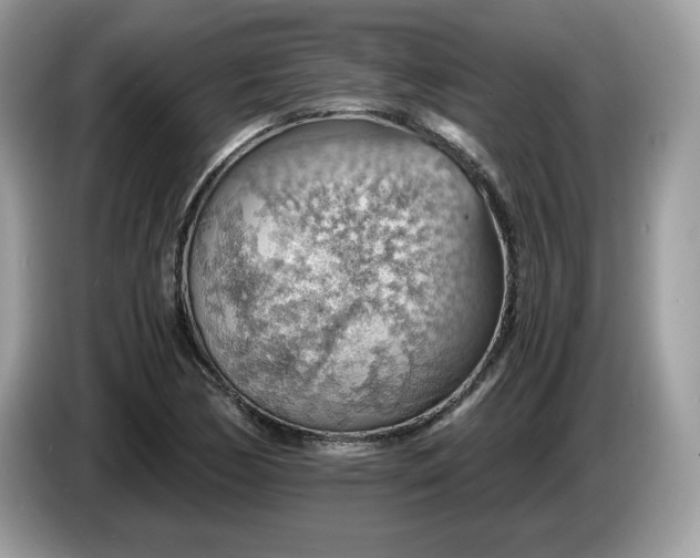 X0000087521170200704271135