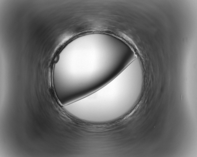 X0000087521171200704271135