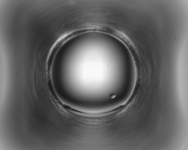 X0000087521172200704271135