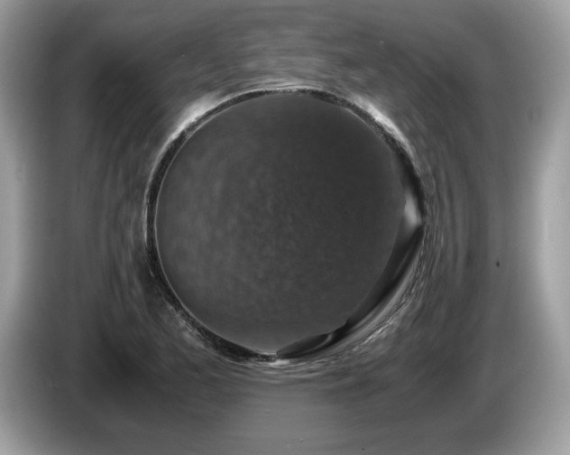 X0000087521173200704271135