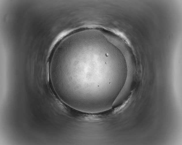X0000087521175200704271135