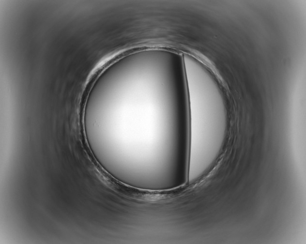 X0000087521176200704271135