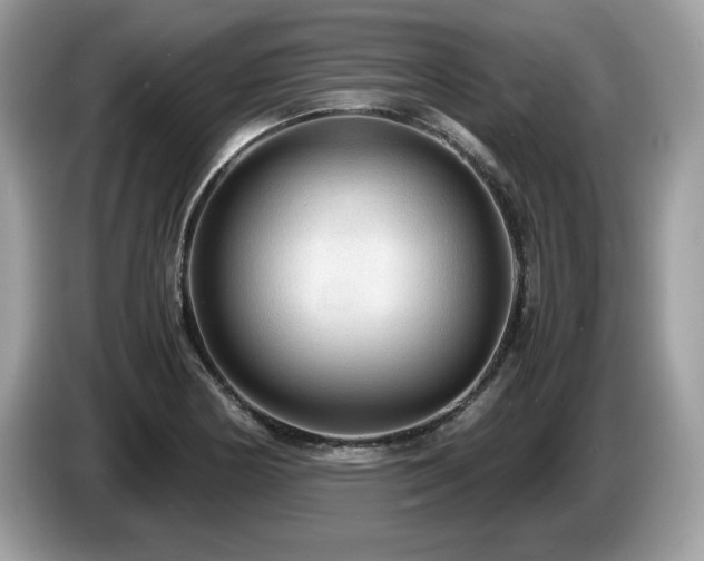 X0000087521178200704271135