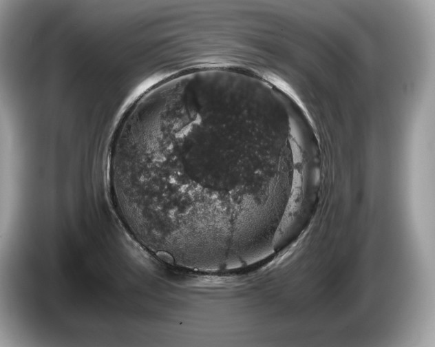 X0000087521179200704271135