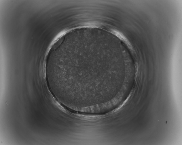 X0000087521180200704271135